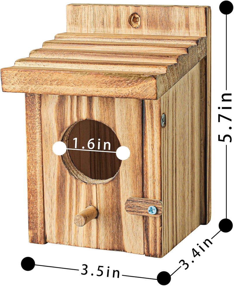 NATUREYLWL Humming Bird Houses for Outdoor Hanging Small Bird Nesting Box - Wood Nest for Robin, Hummingbird, Parakeet, Bluebird - Perch House for Outdoors Birdhouse Birds - Made of Pine Wood - Image 4